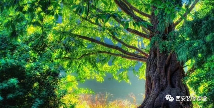 刷漆师傅为什么要求自己调色,啥时候刷漆调色