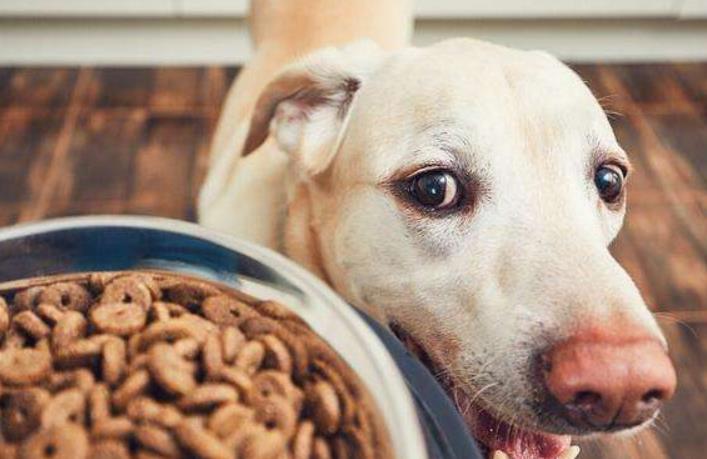 全国最大的宠物食品市场,全球最大宠物公司