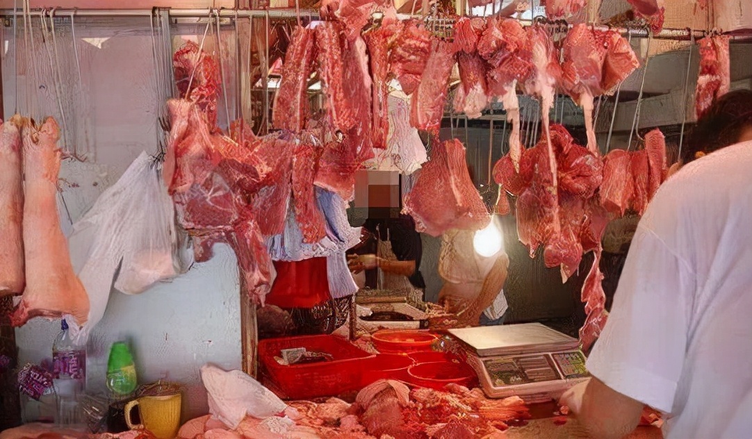 吉林大叔回乡养黄牛,养殖黄牛走上致富路