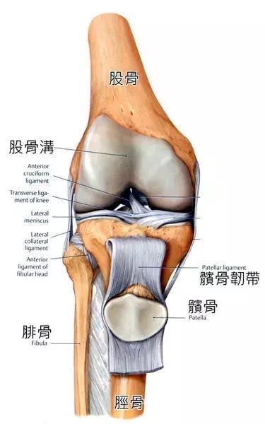 运动损伤膝盖一般用什么药,运动损伤膝盖疼怎么办