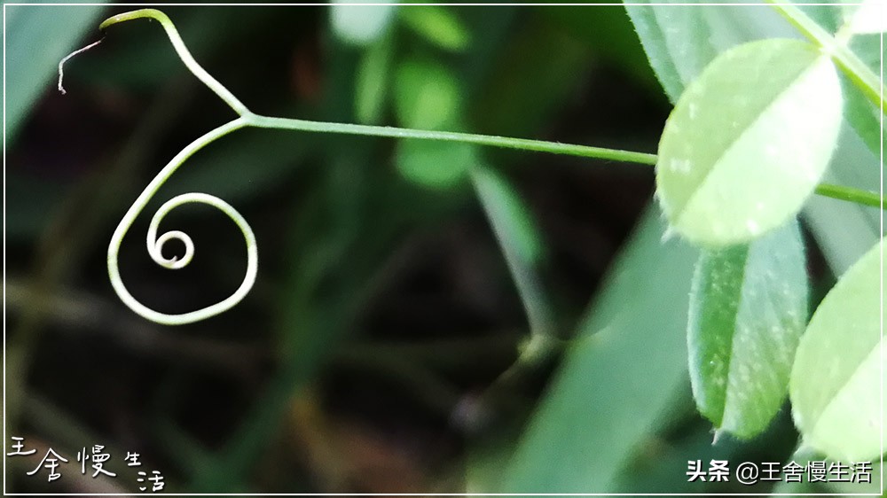 不要看不起农村,不要看不起耕田的人