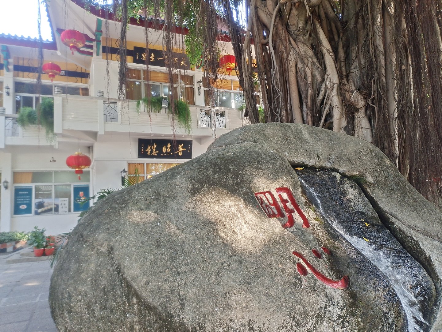 厦门不仅有美丽的风景还有好吃的,厦门旅游美食美景照片