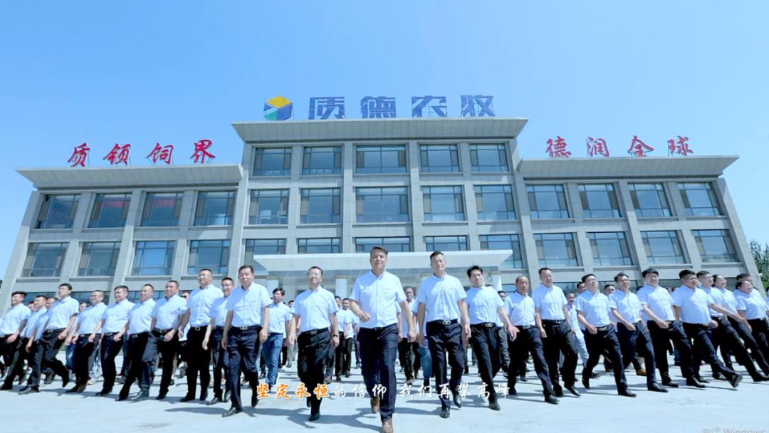 签约成功喜报,签约喜报视频