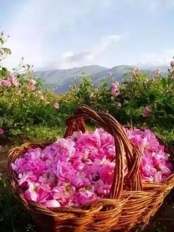 你无法拒绝的10个东欧国家,十大最便宜的东欧国家