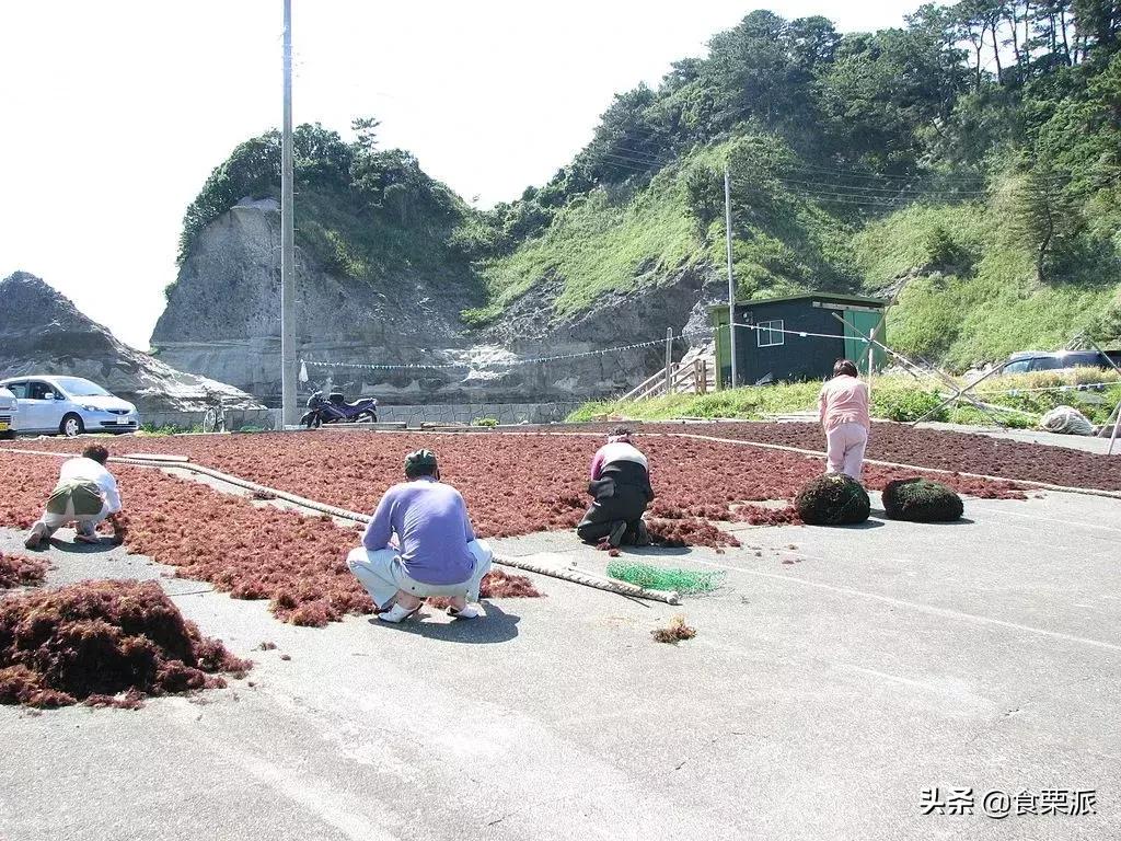 高温天气该如何凉快,高温天气该如何凉快一点