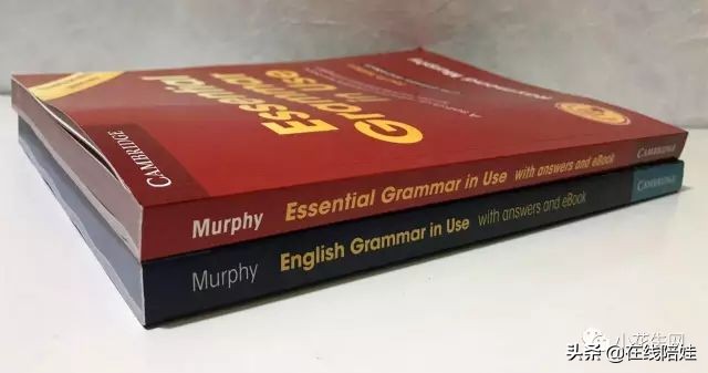 剑桥语法初级书原版,剑桥语法书系列