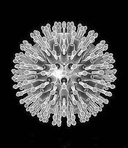 新生儿各种黄疸的鉴别和治疗,小孩黄疸不是病理性的怎么处理