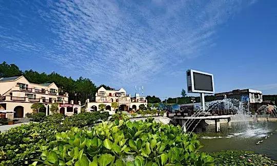 今天，我要夸夸我的通江