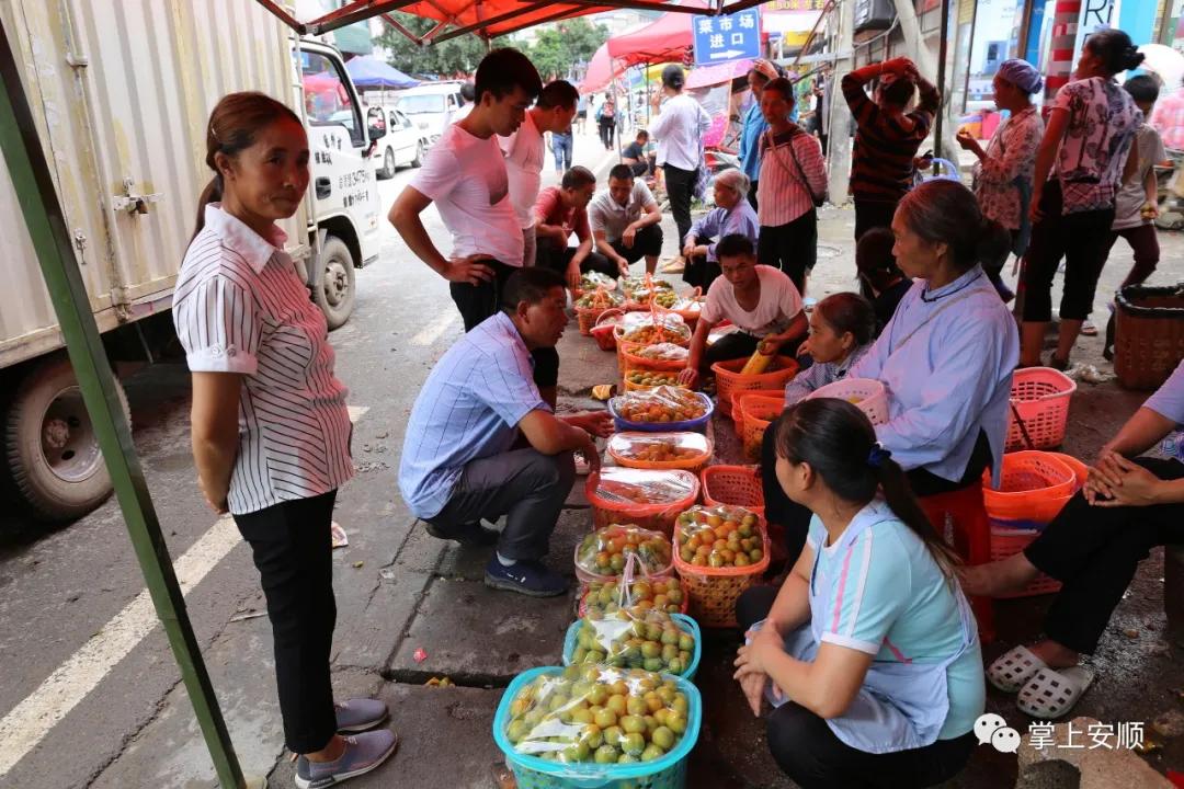 小李子为什么这么强,小李子大产业视频