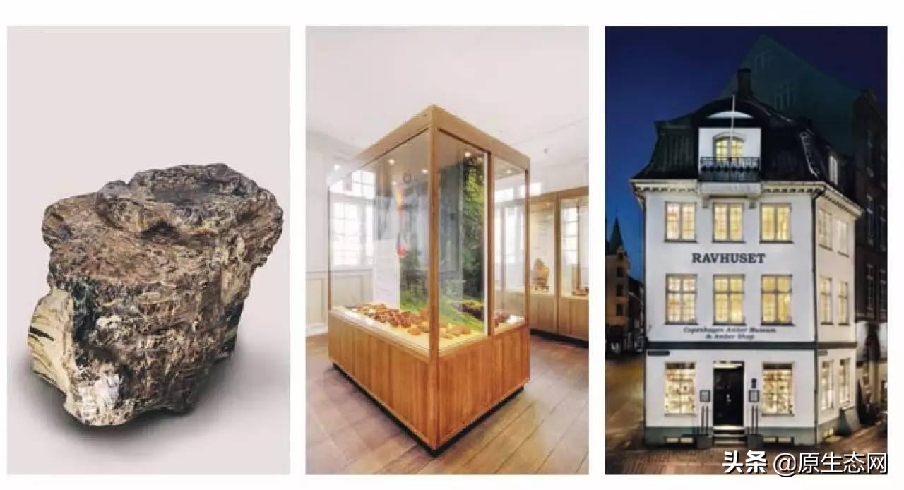 丹麦有琥珀吗,世界上第一个发现琥珀的国家