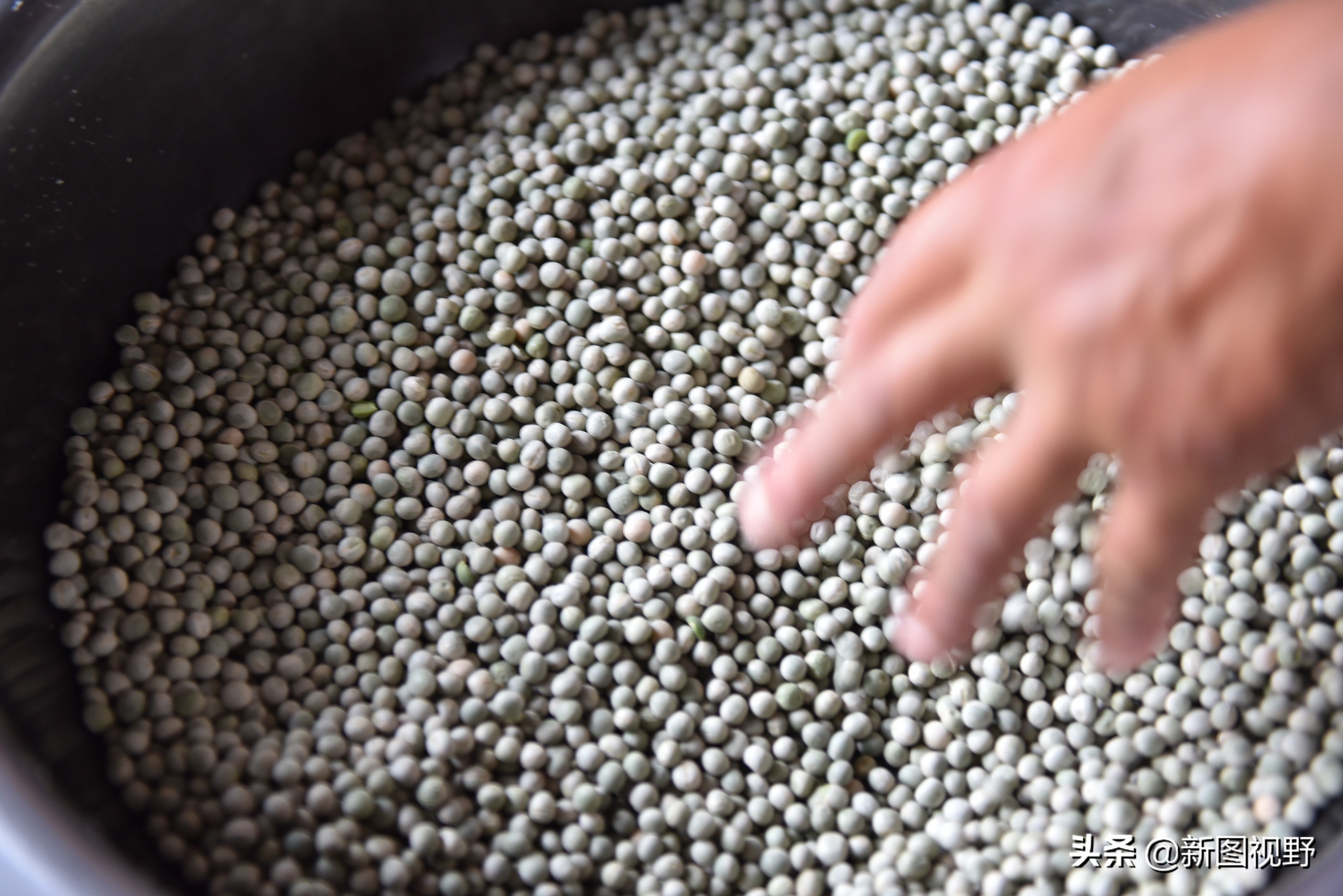 豌豆凉粉卖多少钱一斤,卖豌豆凉粉视频