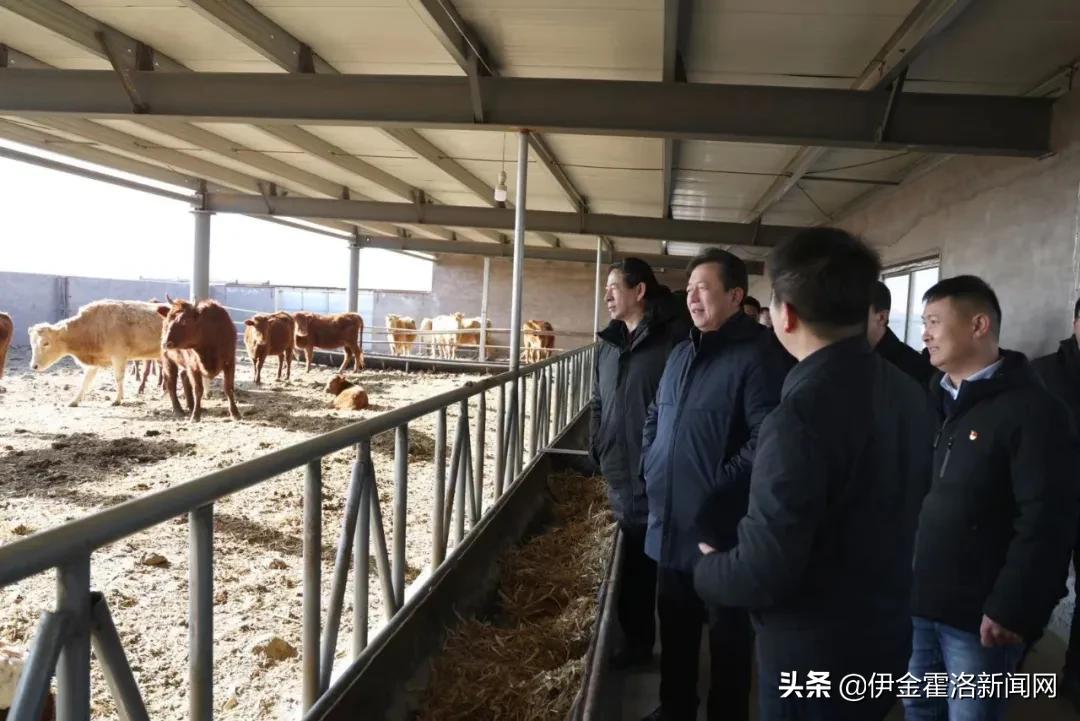 伊金霍洛旗委书记华瑞锋,华瑞锋伊金霍洛旗