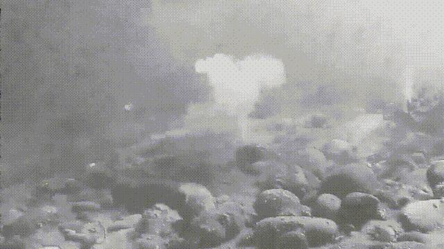 蚬蚌蛏的区别是什么,蚶子蛤蜊蚬子区别