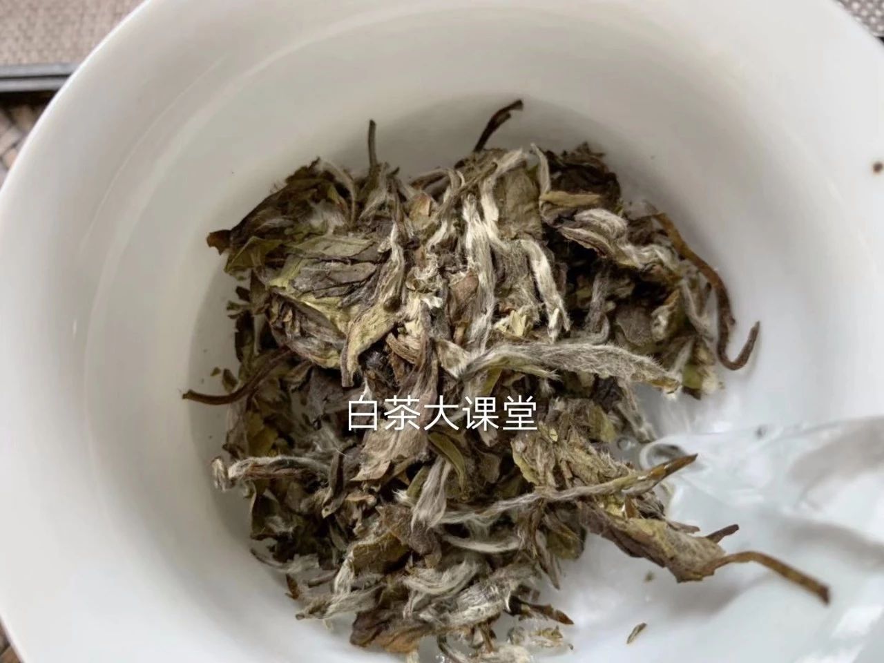白茶要如何泡茶好喝又简单,泡茶的正确方法和泡白茶步骤视频