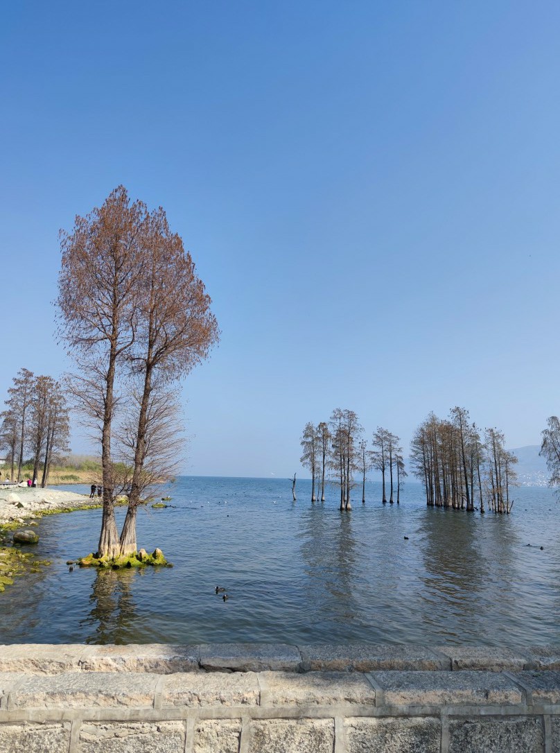 云南大理洱海龙龛古渡码头,云南洱海龙龛码头人多视频