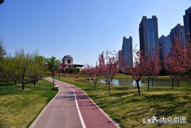 海德公园参观,北京的海德公园