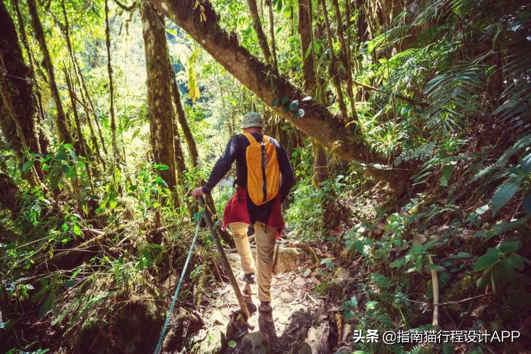 关于旅行游记的经典书,旅行书必读100幅