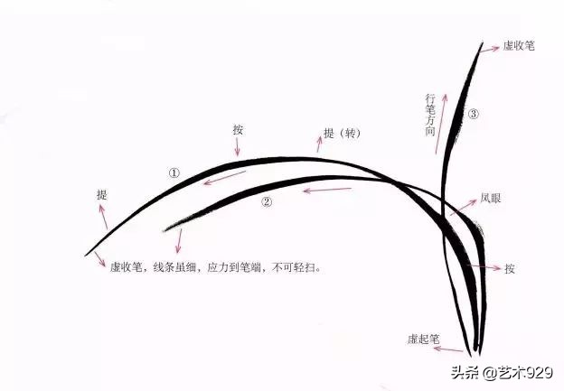 国画兰花的画法太棒了简单易学,泰国兰花绘画技法