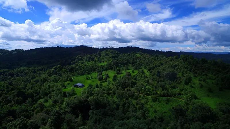 29岁不当记者，追随德国老公守护雨林，两女儿宛如天使，可不上学