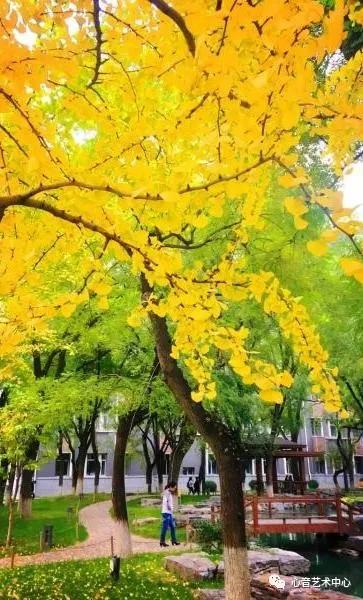 每日高校|中国传媒大学