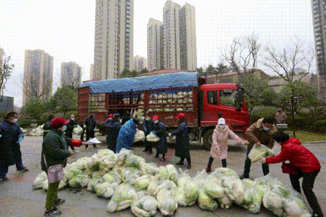 宜昌江边志愿者,你好我是哈尔滨志愿者完整版