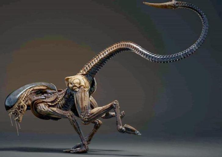 寮傚舰vs閾佽鎴樺+娣卞害瑙h,涔愰珮閾佽鎴樺+vs寮傚舰