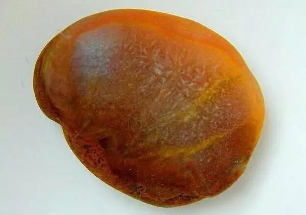 终于捡到了值钱的石头,捡到这些石头不要扔真的很值钱