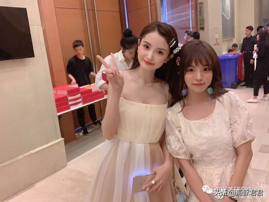 北京小公主靠吸猫血成百万大V，直播整容、大照骗、2年养死3只猫