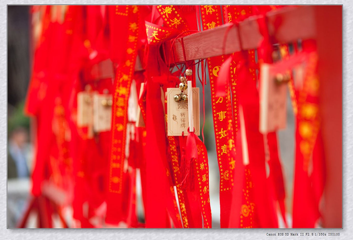 常州旅游东方盐湖城,骆驼之旅视频