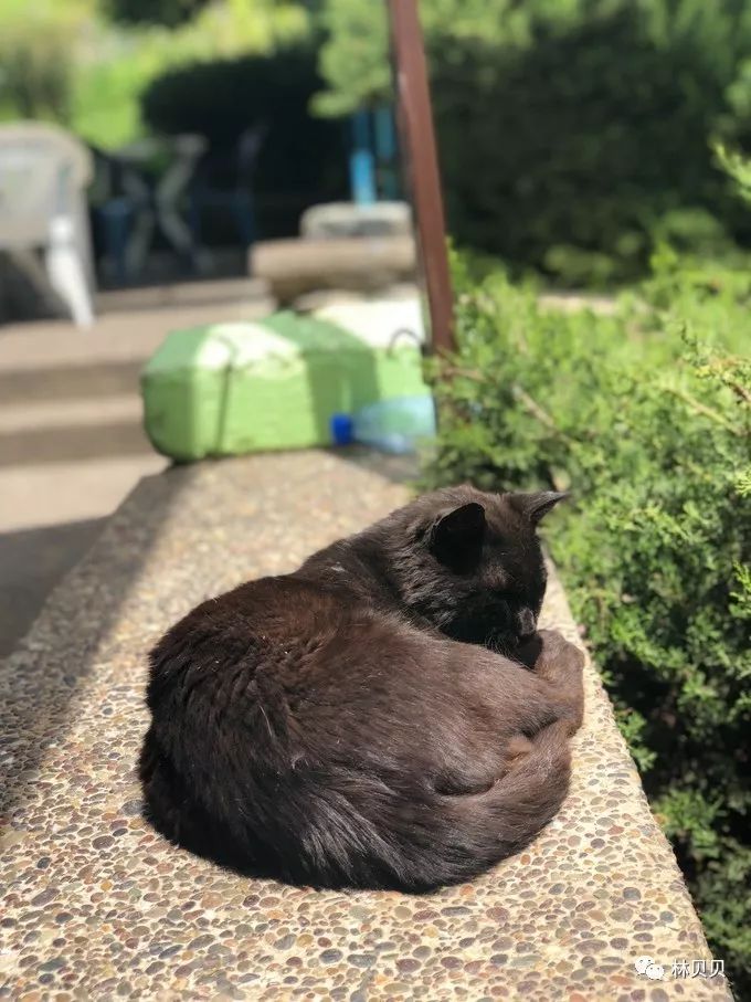 15天快速减肥10斤懒人,摩洛哥12天瘦5斤减肥成功案例