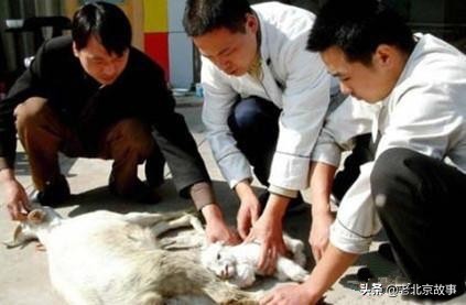 26张活久见的图片看完又涨知识了,42张照片大图