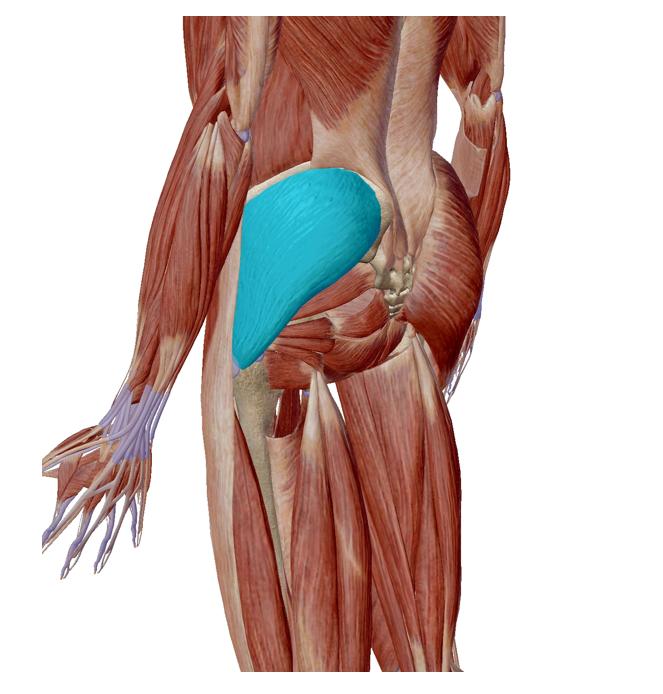 大腿特别粗怎么减,大腿粗怎么办教你一招解决