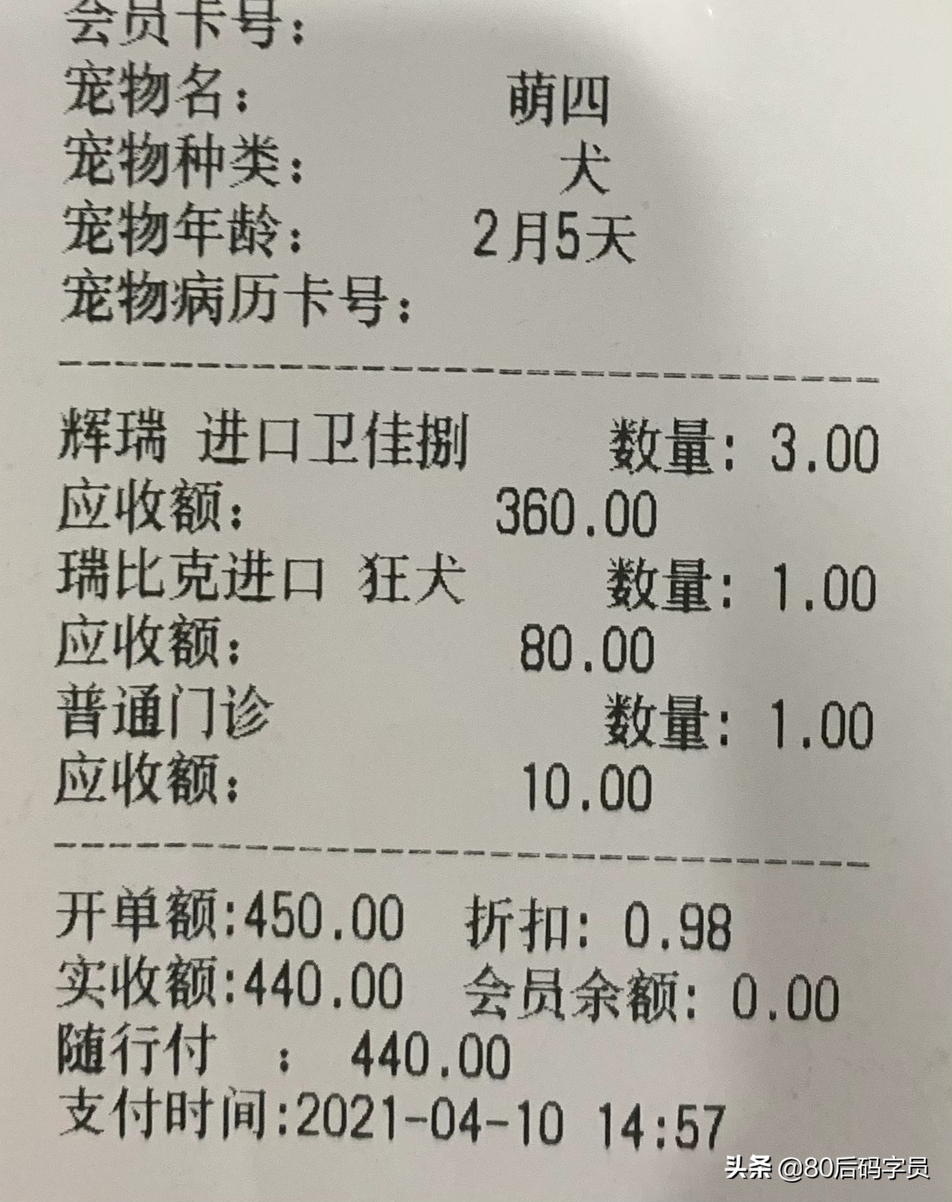 养条黑土狗什么感受呢,养条土狗是什么体验