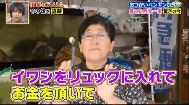 去世的小企鹅,死去的南极企鹅