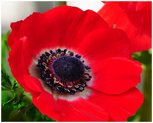 劳伦斯诗歌原文,劳伦斯小说的审美意蕴