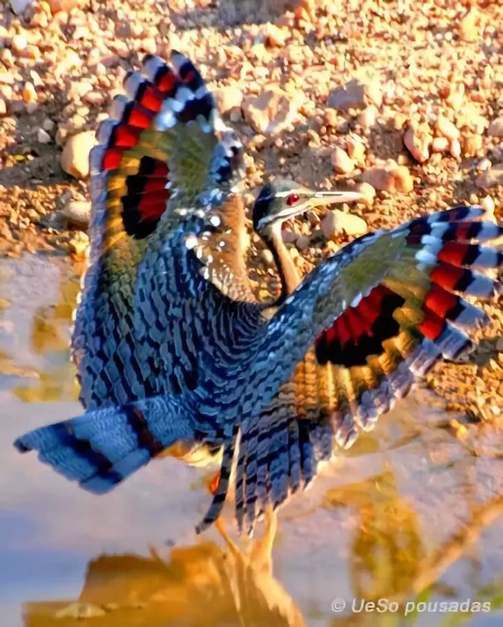 风雨飘摇话网易《网海风云》——讲述互联网昨天的故事之七