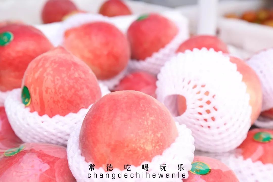 常德高校周边美食，10块钱喂饱你的青春