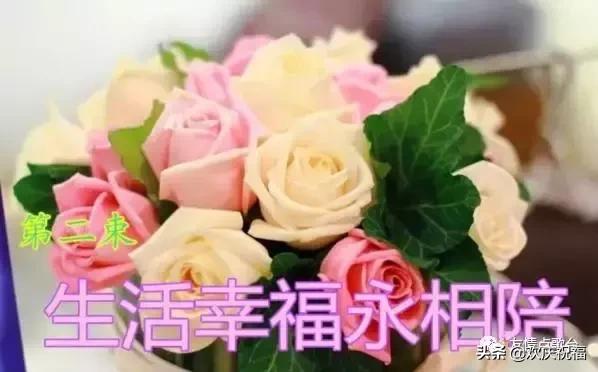 把最美的祝福送给情人节的你,5月21日情人节祝福语