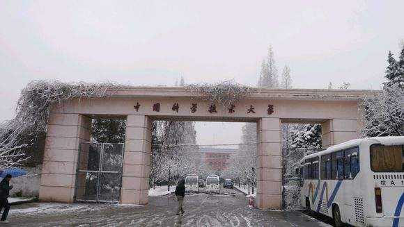 神童龚民的成长经历,龚民神童个人资料