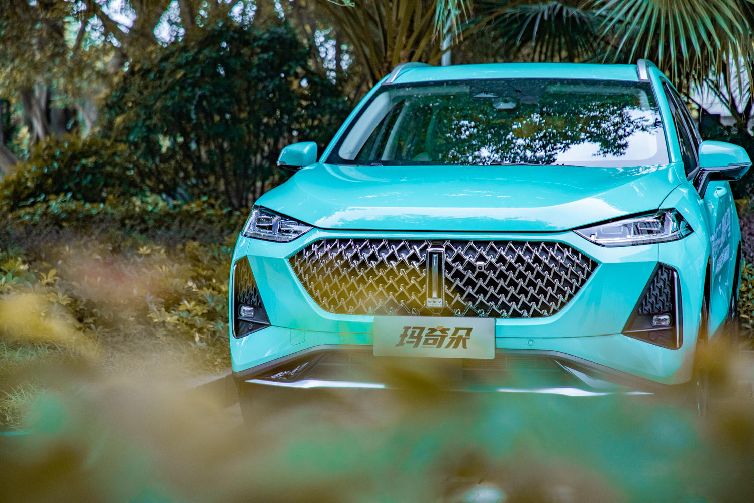 玛奇朵dht-phev油耗,实测油耗6升以下的车