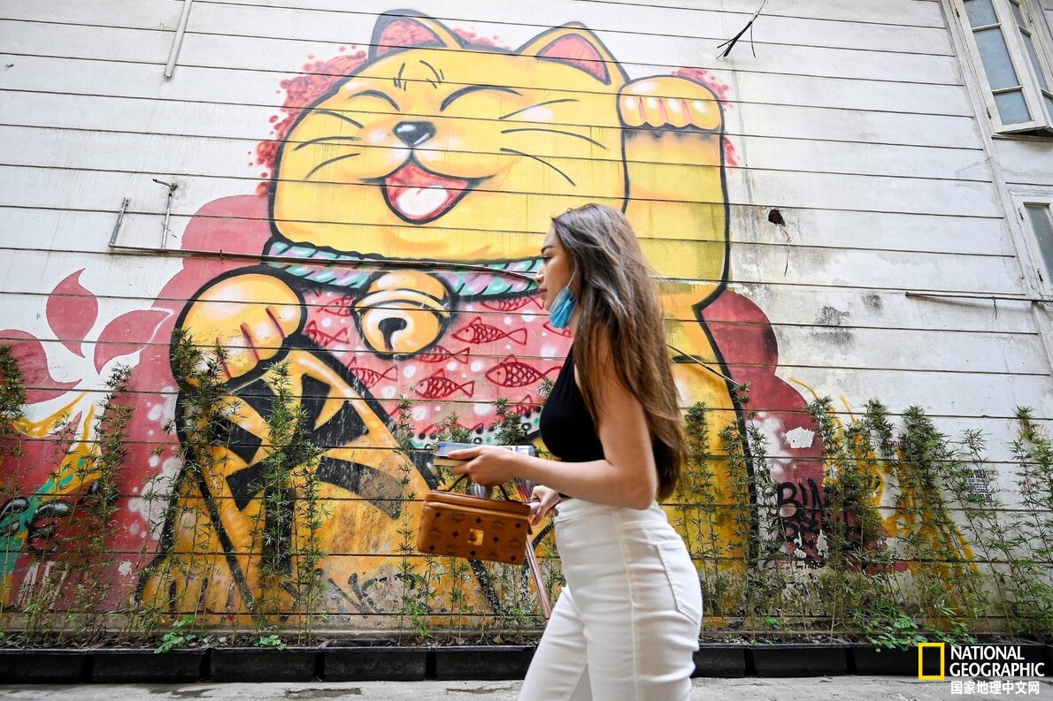 招财猫怎么火起来的,正宗的招财猫