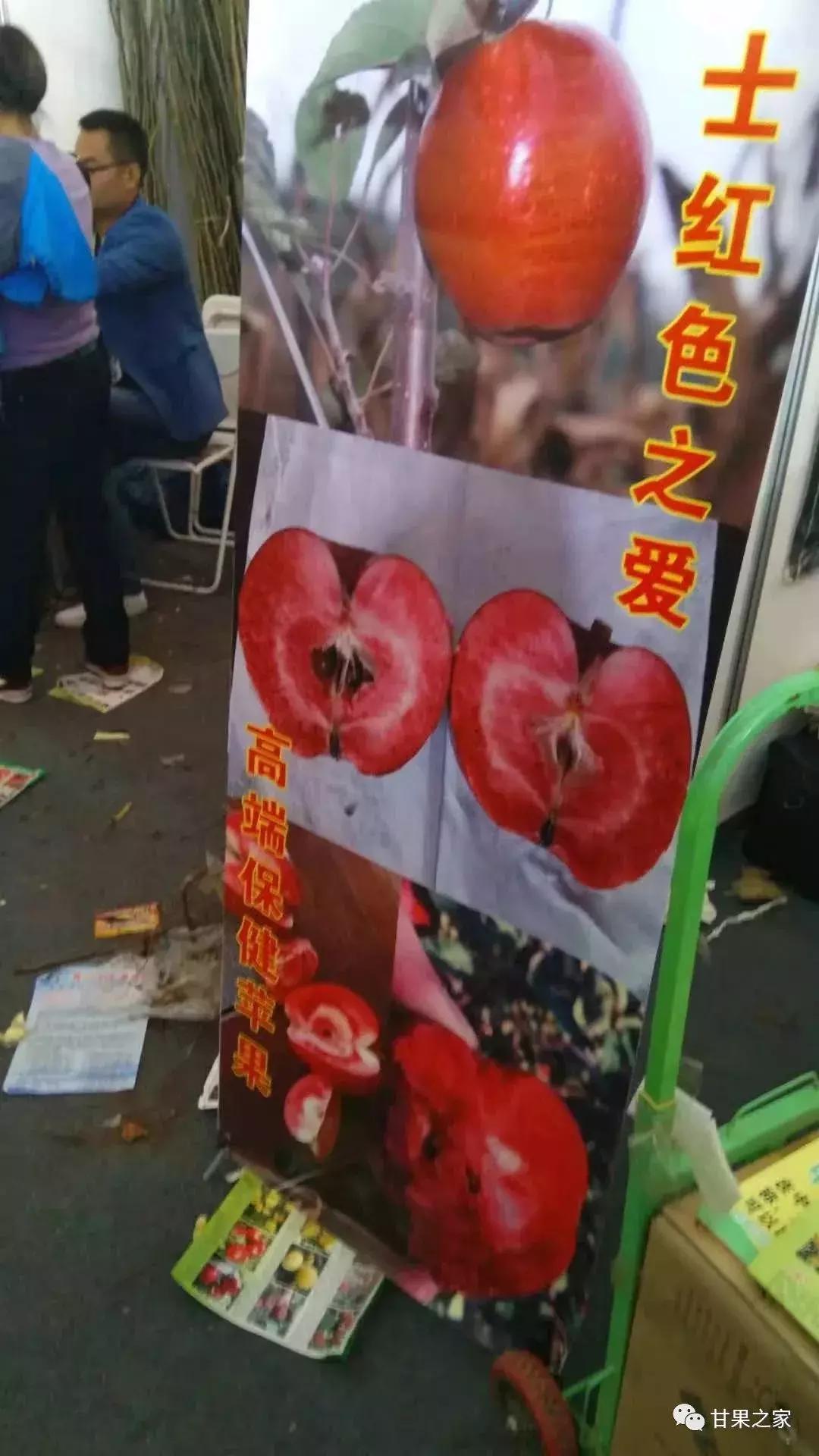 最常见的苹果5个品种,各种类型苹果