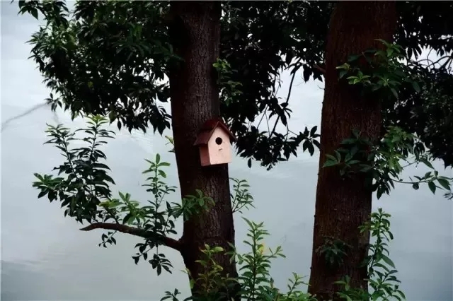 东江湖口碑最好民宿,东江湖景区民宿十大排名