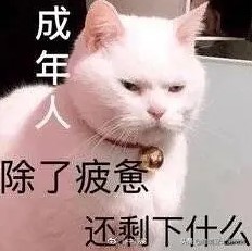 跨境电商VPS租用怎么选择配置,跨境电商ip防关联