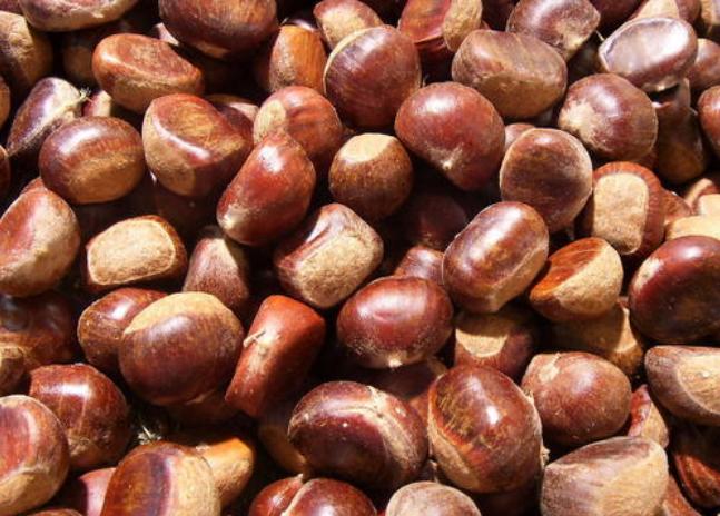 保存板栗一年不坏的办法,保存板栗要煮下水吗