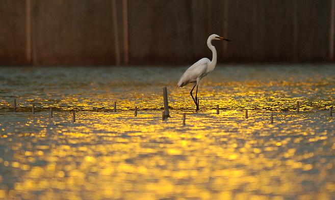 去滁州琅琊山旅游攻略,滁州白鹭岛一日游详细攻略