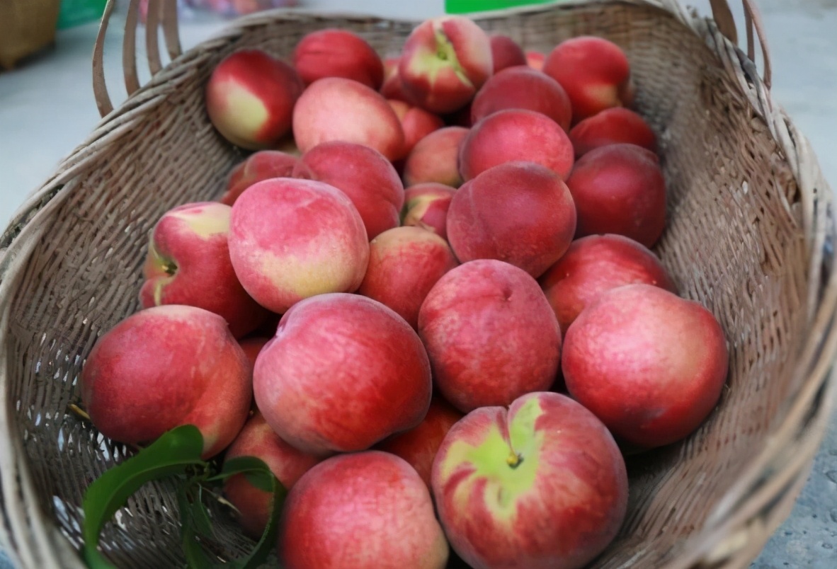夏天难买的水果有哪些,碱性水果有哪些好吃的