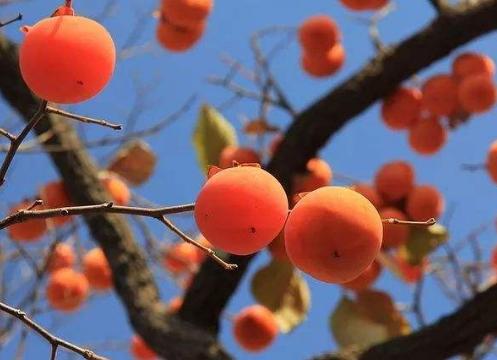 房子不在大温馨就好,房子不在大小只要一家人和睦