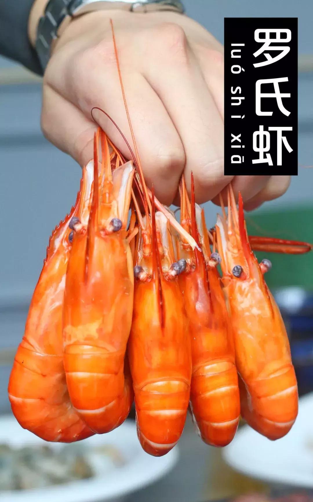 厦门90海里蒸汽海鲜自助,厦门岛内蒸汽海鲜自助