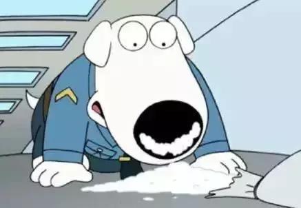 缉毒犬会染上毒瘾吗视频讲解,缉毒犬闻毒品味道会闻上瘾么